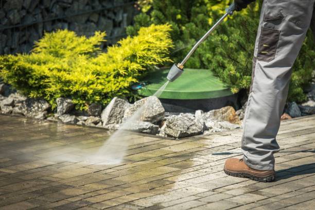 Best Pre-Holiday Cleaning  in Frankfort, MI