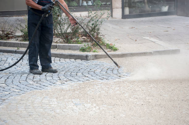 Best Patio and Deck Pressure Washing  in Frankfort, MI